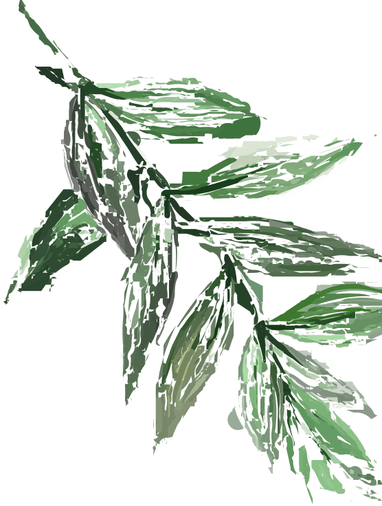 our-videos